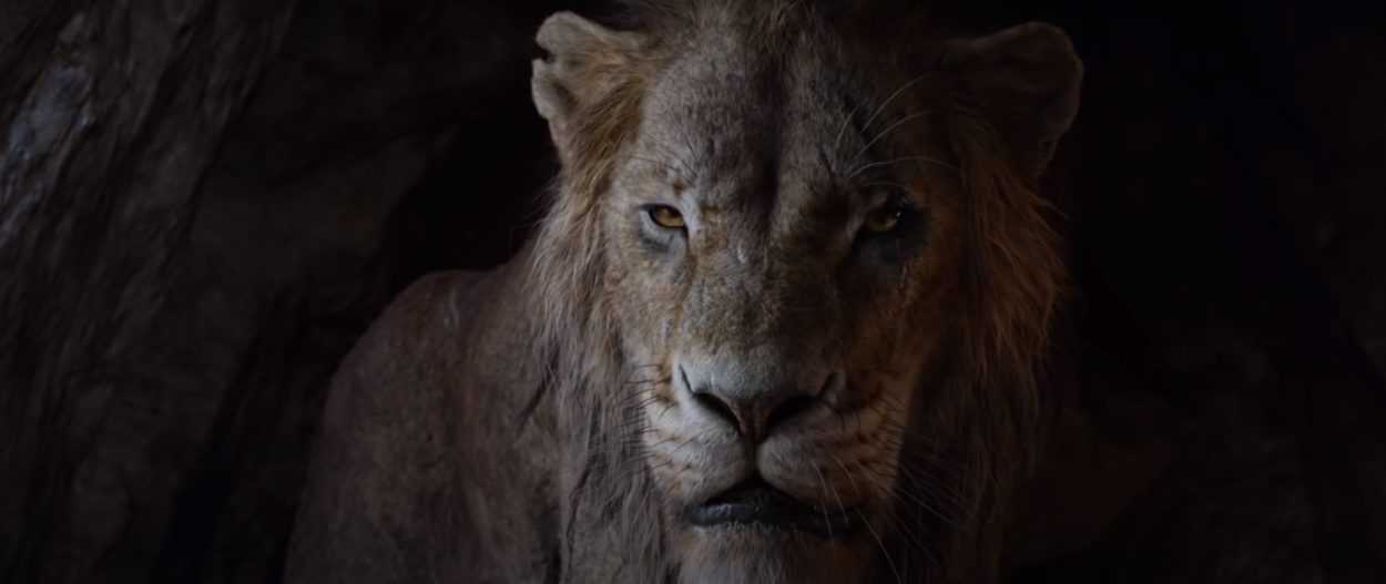 Scar König der Löwen